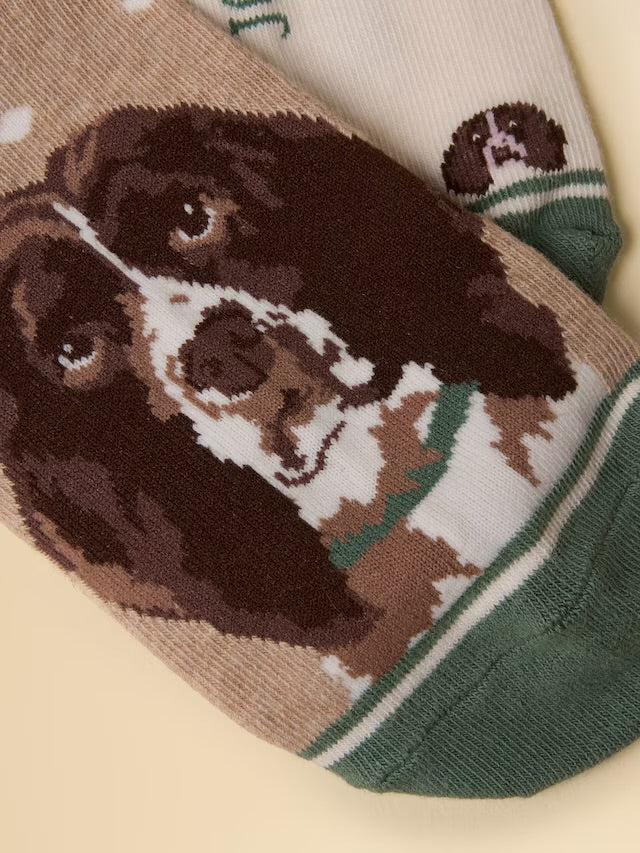 Joules Women's Everyday Neutral Spaniel Cotton Blend Socks 2 Pack (size 4-8)